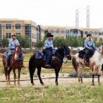 horses_trail